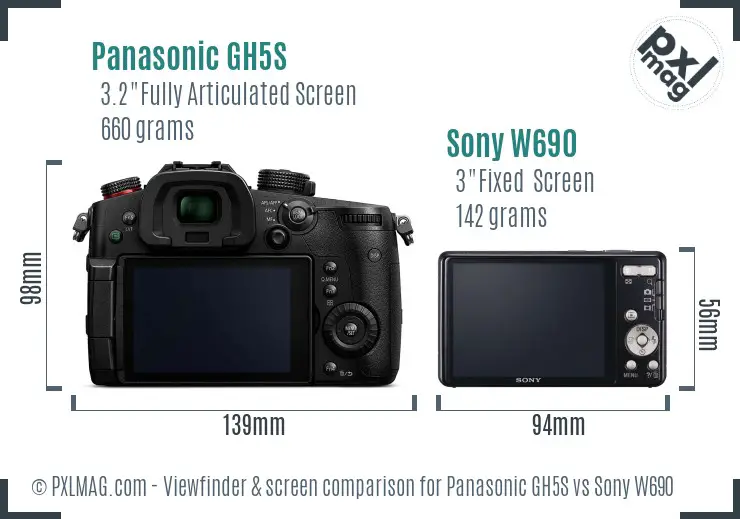 Panasonic GH5S vs Sony W690 Screen and Viewfinder comparison