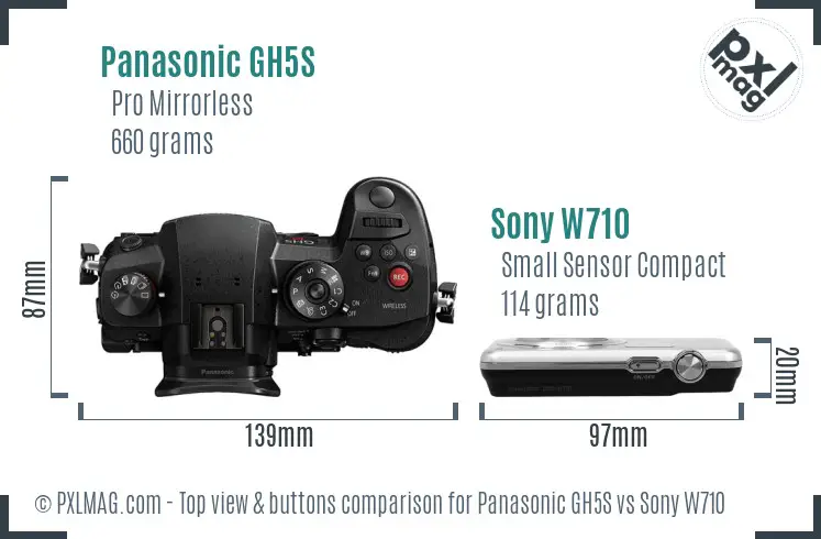 Panasonic GH5S vs Sony W710 top view buttons comparison