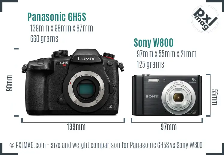 Panasonic GH5S vs Sony W800 size comparison