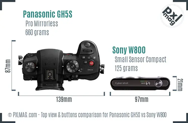 Panasonic GH5S vs Sony W800 top view buttons comparison