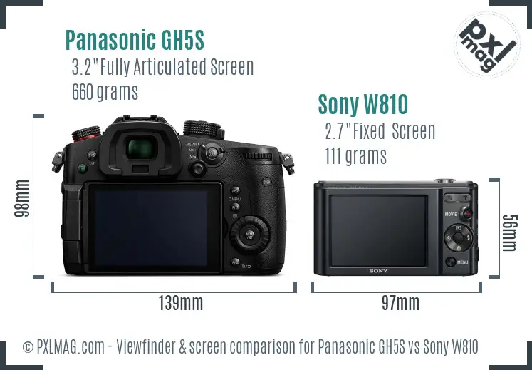 Panasonic GH5S vs Sony W810 Screen and Viewfinder comparison