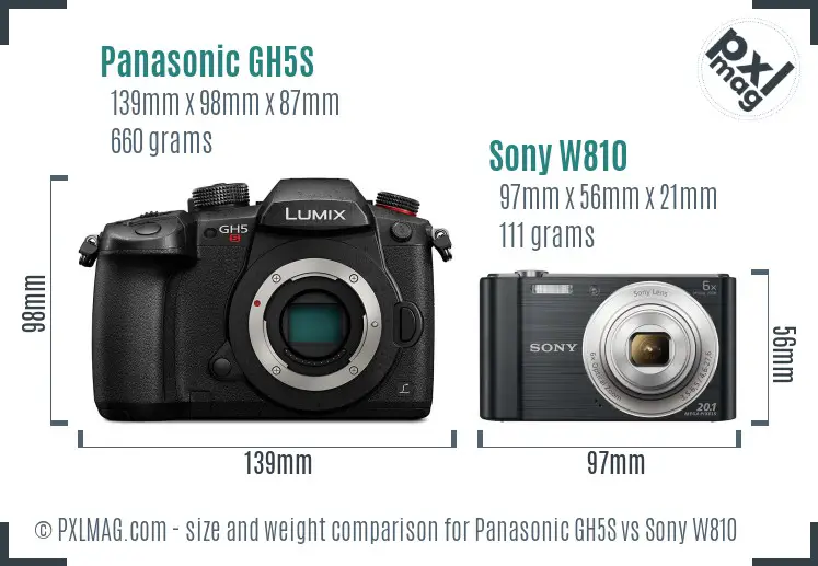 Panasonic GH5S vs Sony W810 size comparison