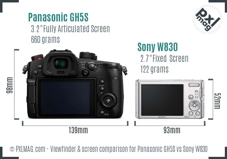 Panasonic GH5S vs Sony W830 Screen and Viewfinder comparison