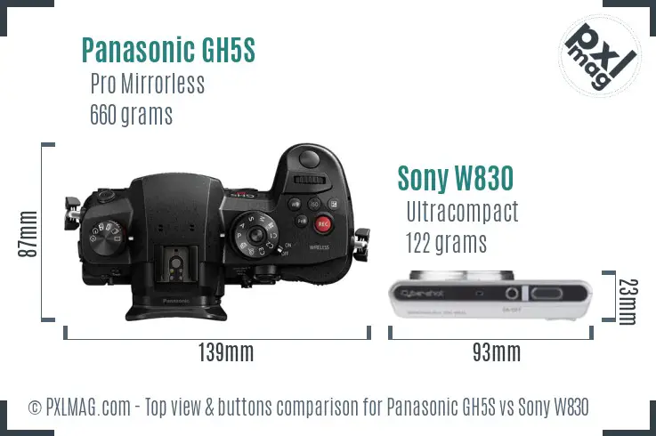 Panasonic GH5S vs Sony W830 top view buttons comparison