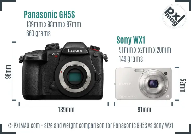 Panasonic GH5S vs Sony WX1 size comparison