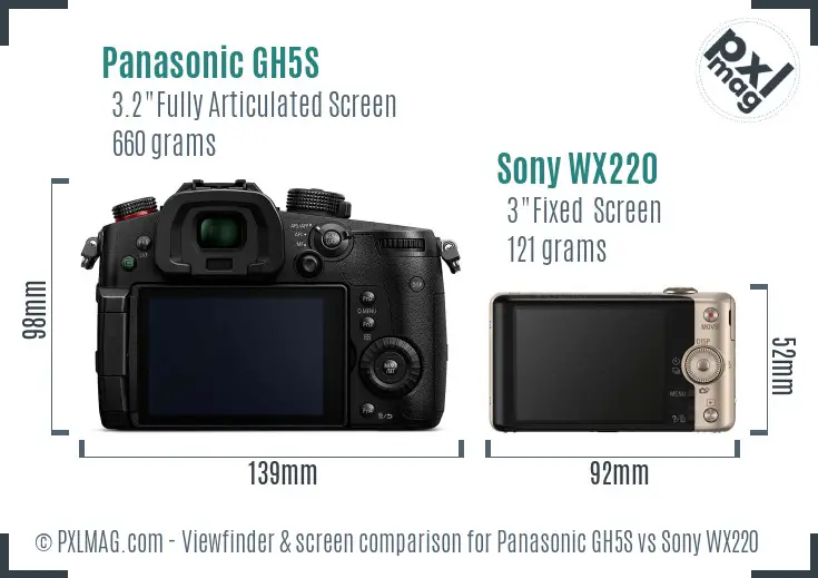 Panasonic GH5S vs Sony WX220 Screen and Viewfinder comparison