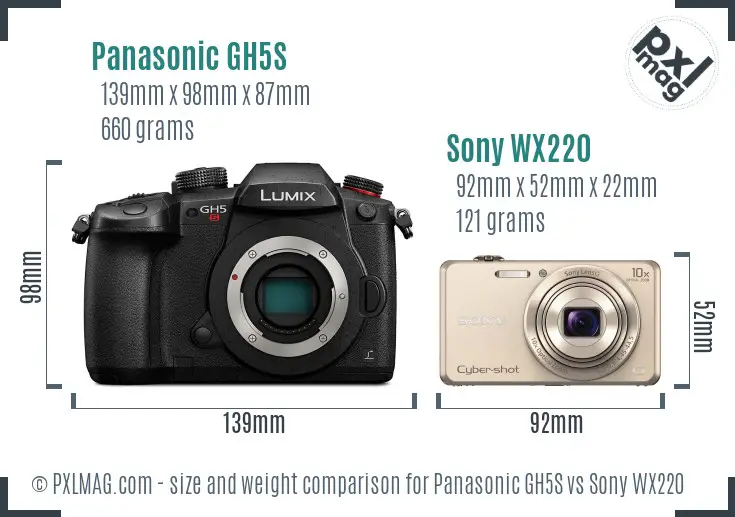 Panasonic GH5S vs Sony WX220 size comparison