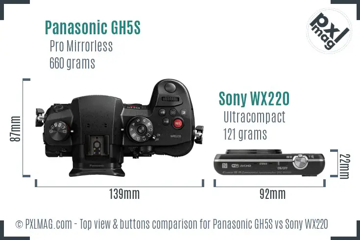 Panasonic GH5S vs Sony WX220 top view buttons comparison