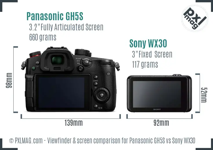 Panasonic GH5S vs Sony WX30 Screen and Viewfinder comparison