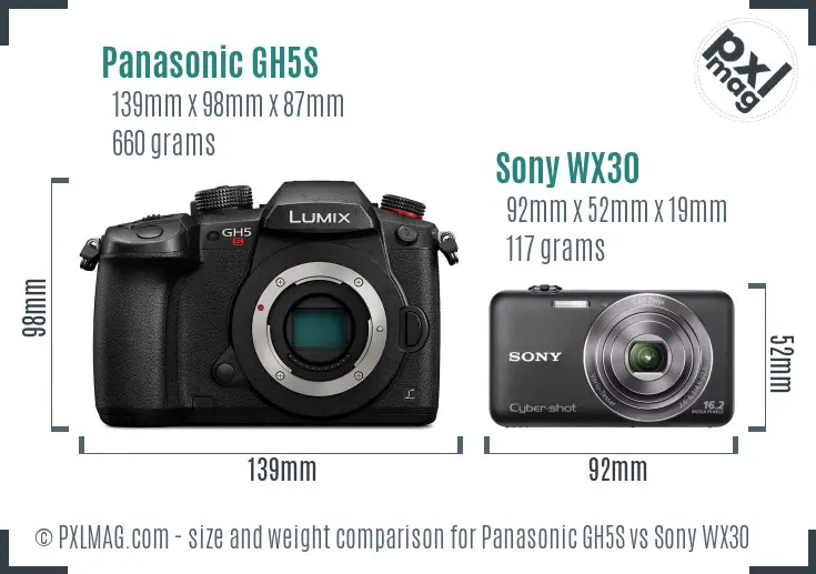 Panasonic GH5S vs Sony WX30 size comparison