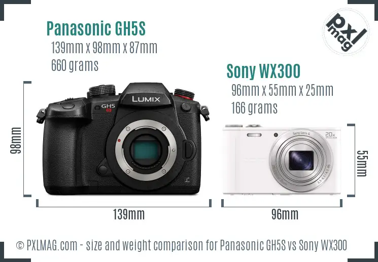 Panasonic GH5S vs Sony WX300 size comparison