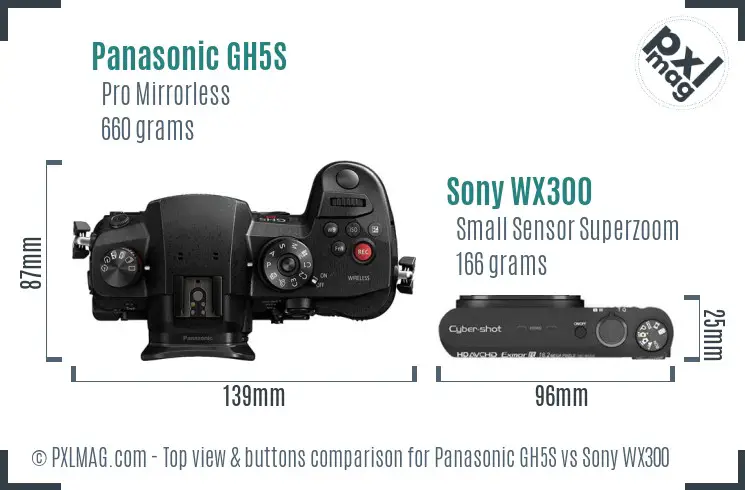 Panasonic GH5S vs Sony WX300 top view buttons comparison