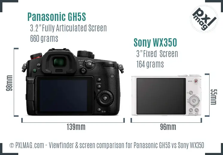 Panasonic GH5S vs Sony WX350 Screen and Viewfinder comparison