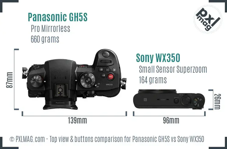 Panasonic GH5S vs Sony WX350 top view buttons comparison