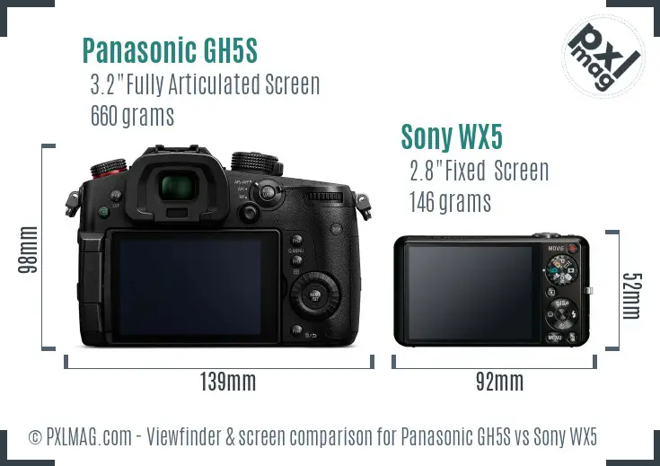Panasonic GH5S vs Sony WX5 Screen and Viewfinder comparison