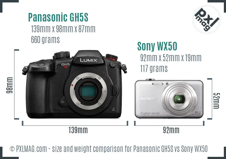 Panasonic GH5S vs Sony WX50 size comparison