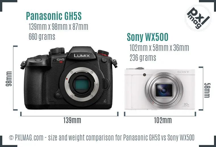 Panasonic GH5S vs Sony WX500 size comparison