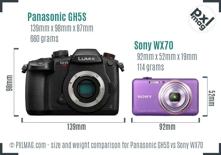 Panasonic GH5S vs Sony WX70 size comparison