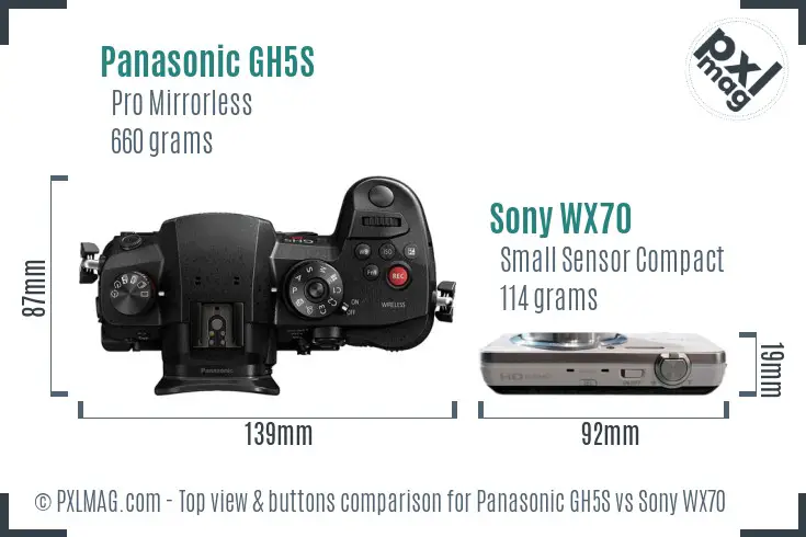 Panasonic GH5S vs Sony WX70 top view buttons comparison