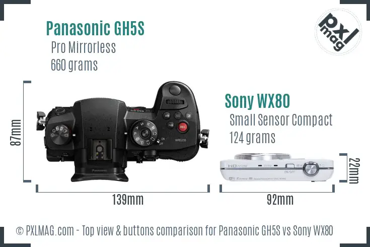 Panasonic GH5S vs Sony WX80 top view buttons comparison