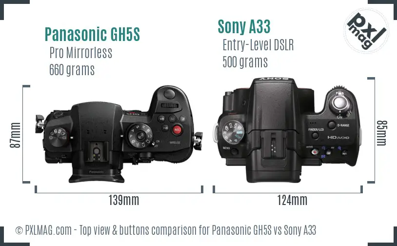 Panasonic GH5S vs Sony A33 top view buttons comparison