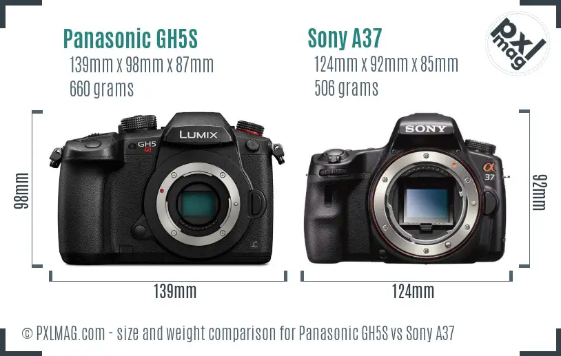 Panasonic GH5S vs Sony A37 size comparison