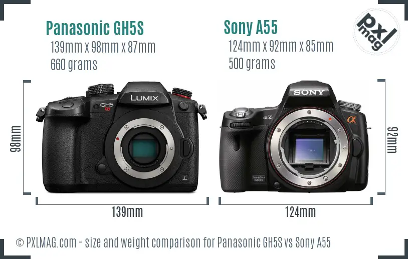 Panasonic GH5S vs Sony A55 size comparison