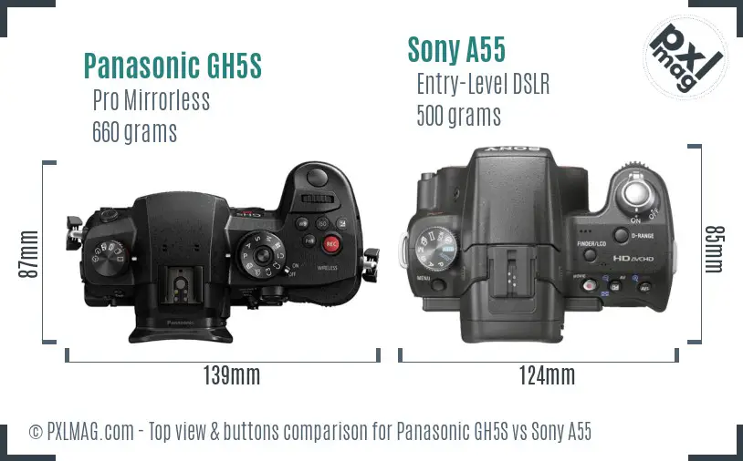 Panasonic GH5S vs Sony A55 top view buttons comparison