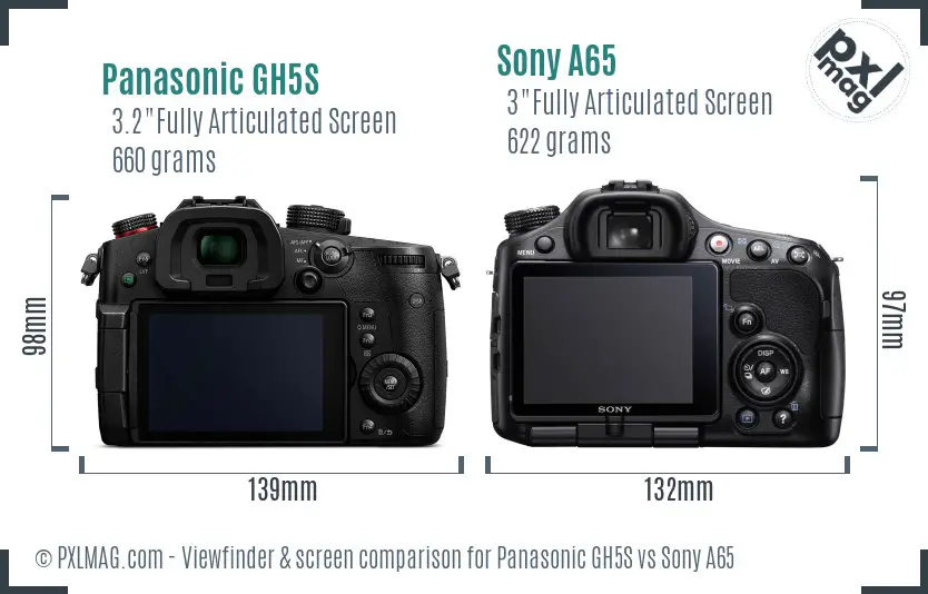 Panasonic GH5S vs Sony A65 Screen and Viewfinder comparison