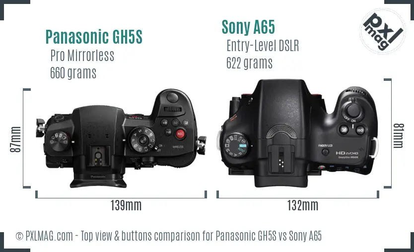 Panasonic GH5S vs Sony A65 top view buttons comparison