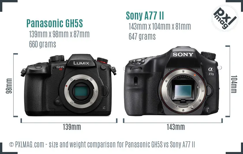 Panasonic GH5S vs Sony A77 II size comparison