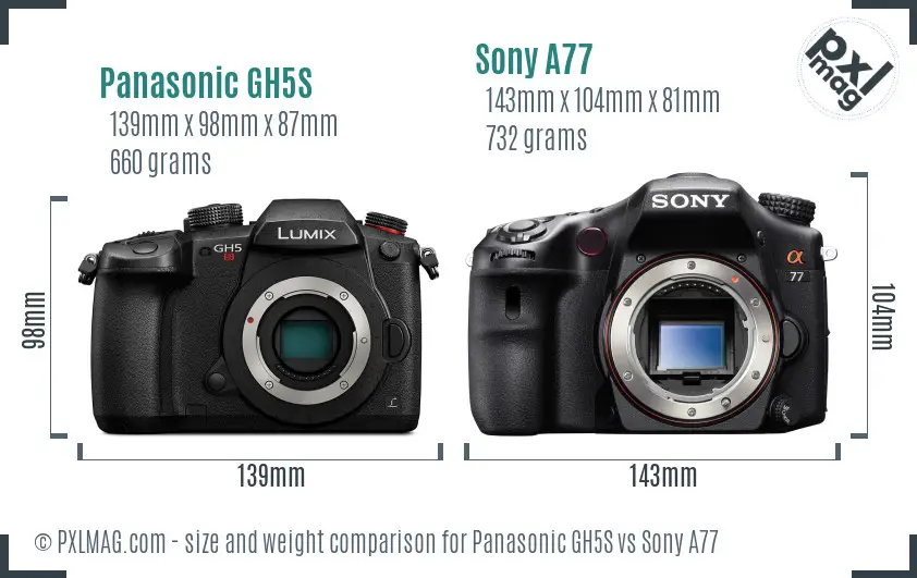 Panasonic GH5S vs Sony A77 size comparison