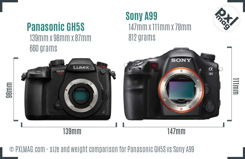 Panasonic GH5S vs Sony A99 size comparison