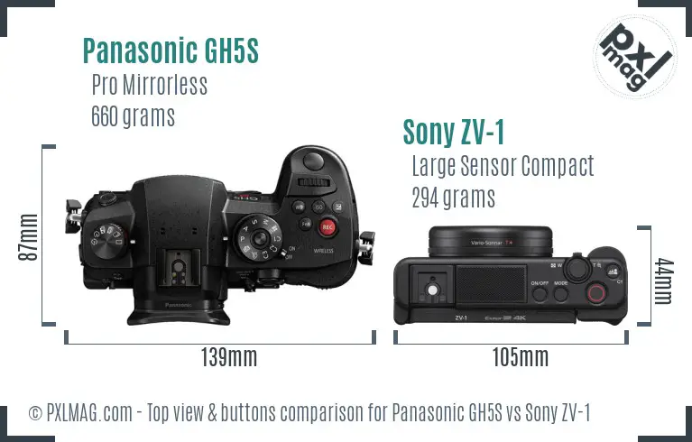 Panasonic GH5S vs Sony ZV-1 top view buttons comparison