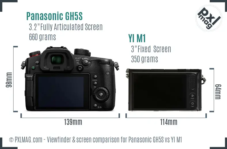 Panasonic GH5S vs YI M1 Screen and Viewfinder comparison