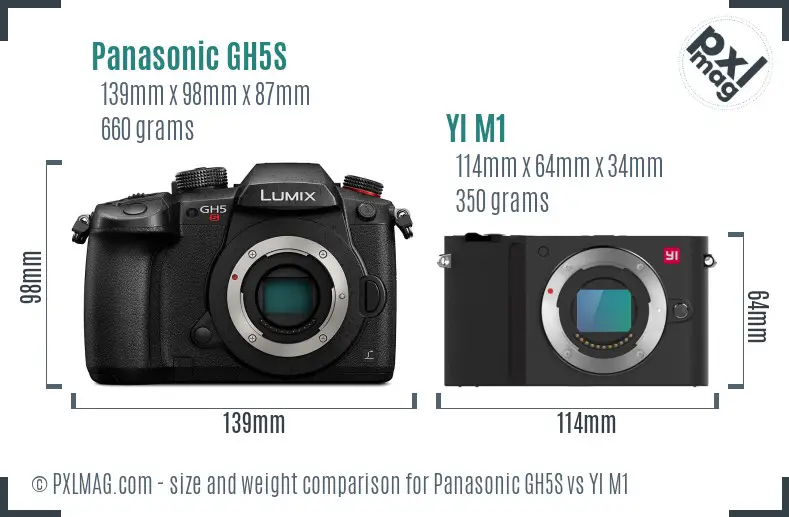 Panasonic GH5S vs YI M1 size comparison