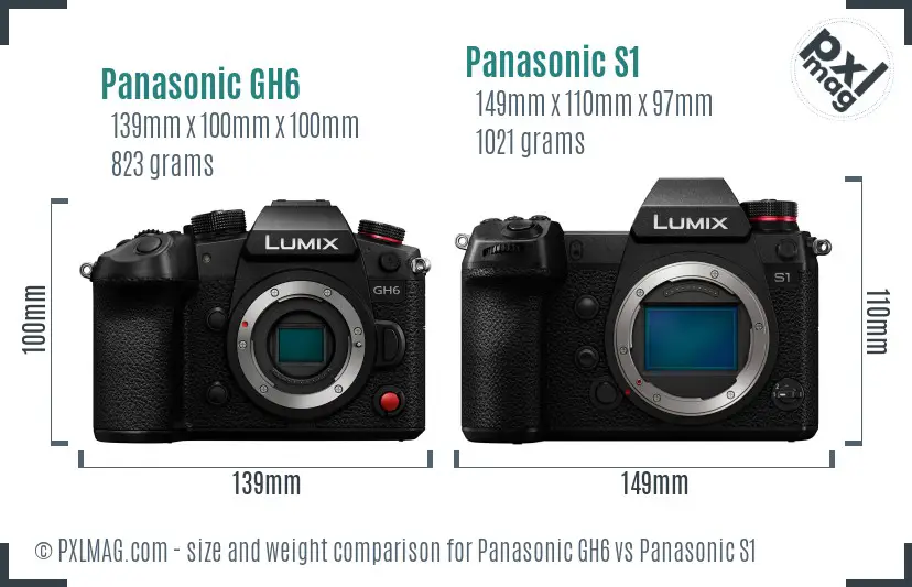 Panasonic GH6 vs Panasonic S1 size comparison