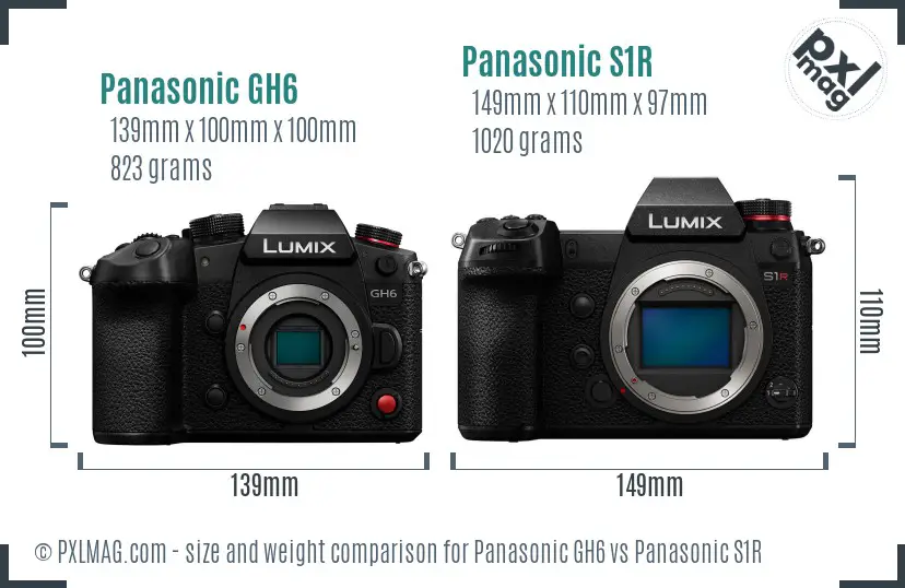 Panasonic GH6 vs Panasonic S1R size comparison