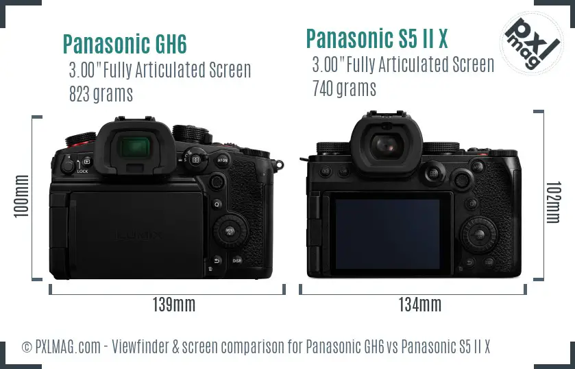 Panasonic GH6 vs Panasonic S5 II X Screen and Viewfinder comparison