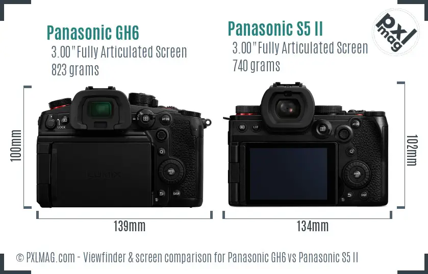 Panasonic GH6 vs Panasonic S5 II Screen and Viewfinder comparison