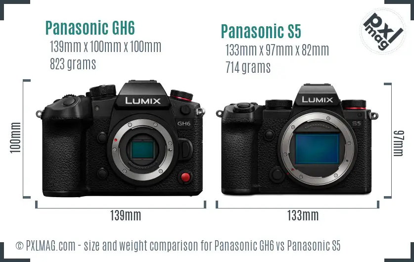 Panasonic GH6 vs Panasonic S5 size comparison