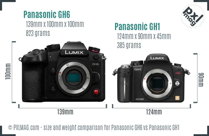 Panasonic GH6 vs Panasonic GH1 size comparison