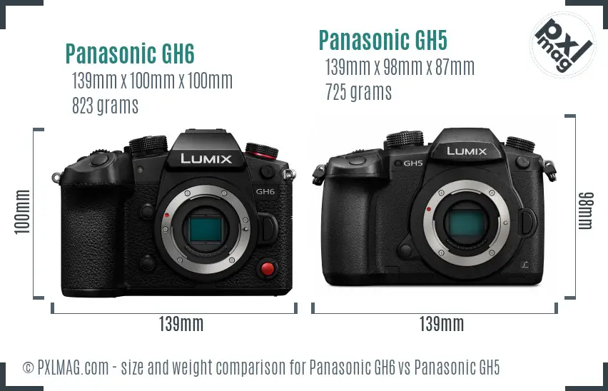 Panasonic GH6 vs Panasonic GH5 size comparison