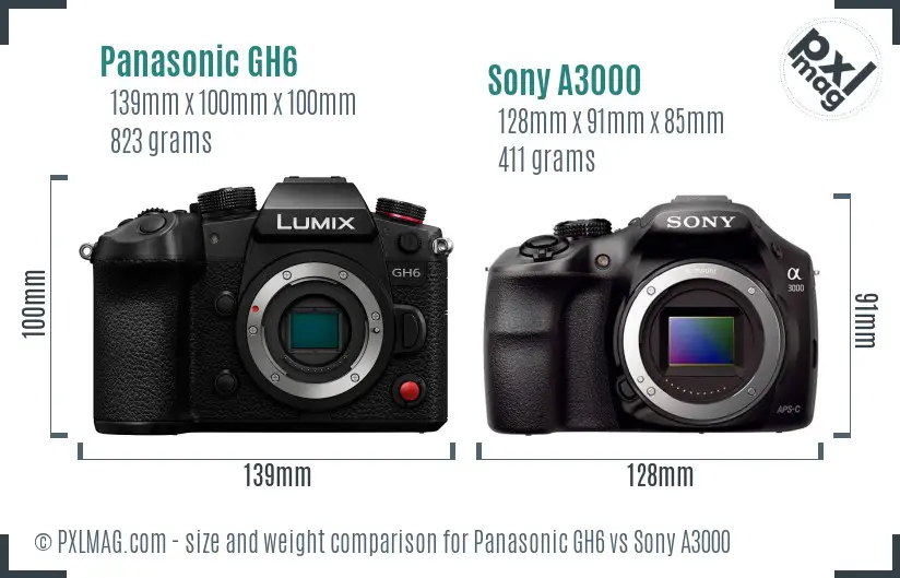 Panasonic GH6 vs Sony A3000 size comparison