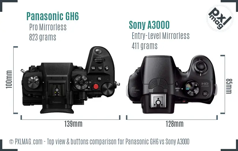 Panasonic GH6 vs Sony A3000 top view buttons comparison