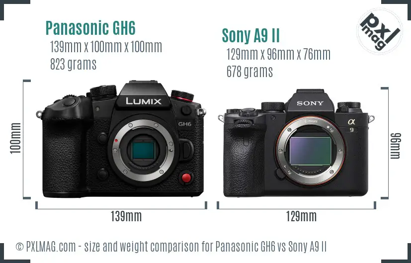 Panasonic GH6 vs Sony A9 II size comparison