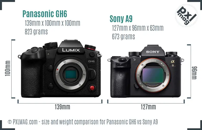 Panasonic GH6 vs Sony A9 size comparison