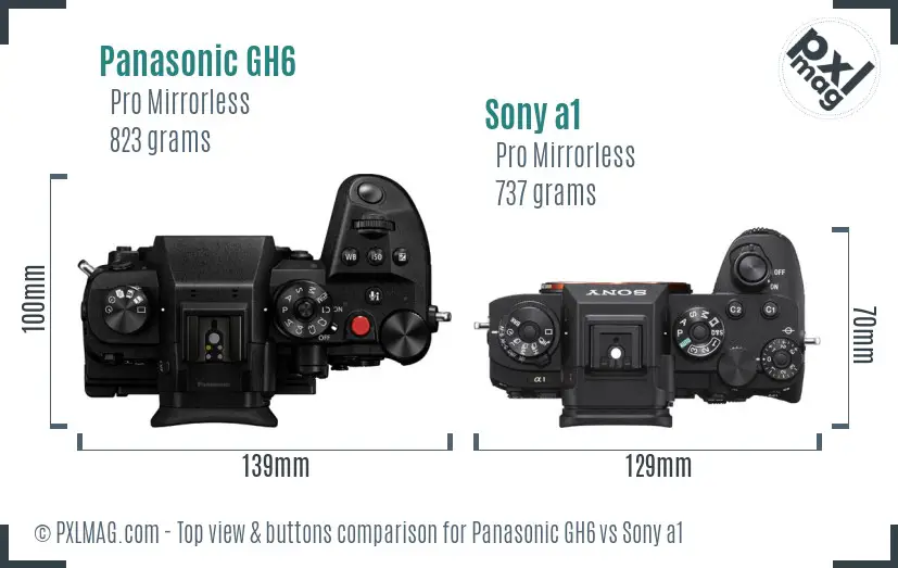 Panasonic GH6 vs Sony a1 top view buttons comparison