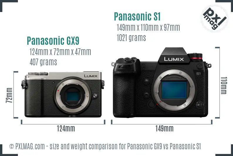 Panasonic GX9 vs Panasonic S1 size comparison