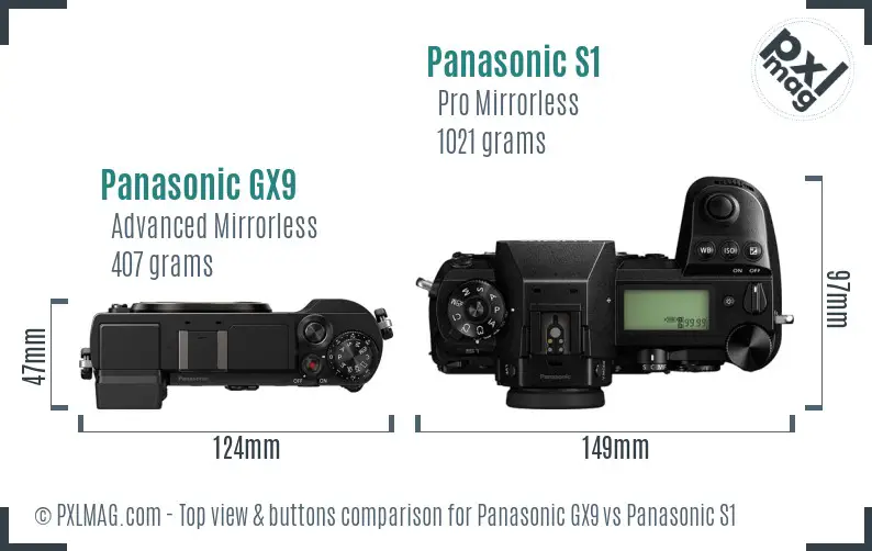 Panasonic GX9 vs Panasonic S1 top view buttons comparison